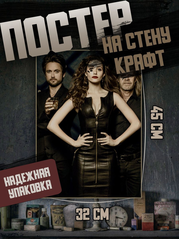 Постер 32х45 сериал Бесстыжие #1