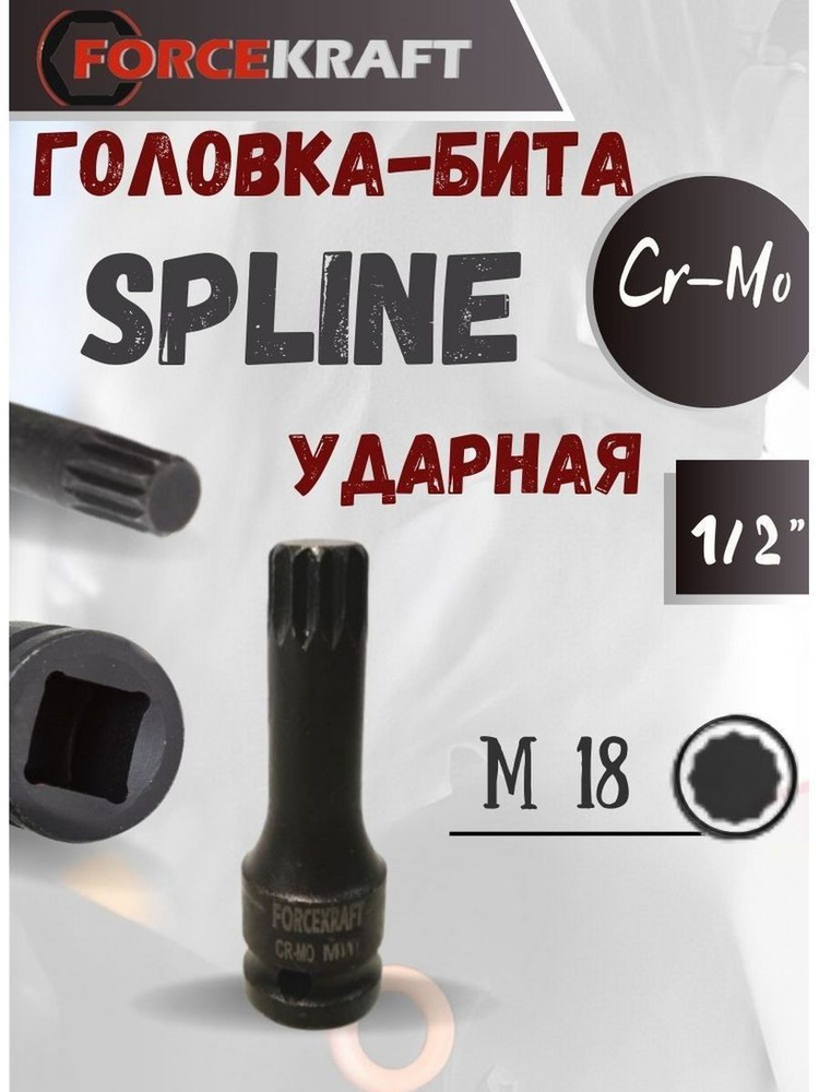 Головка-бита SPLINE ударная M18,1/2" #1