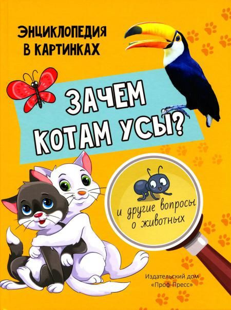 Зачем котам усы? | Соколова Людмила #1