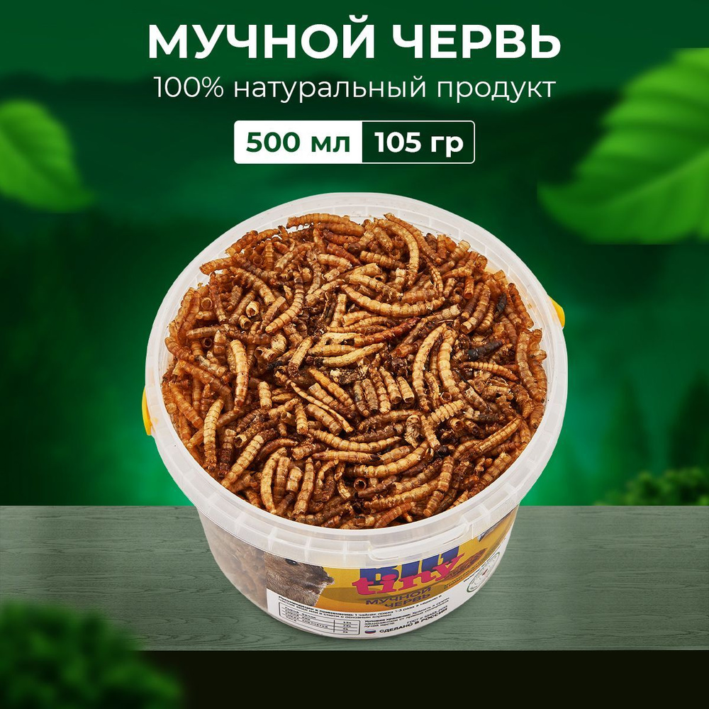 Мучной червь для грызунов, крыс, хомяков, ежей, 500 мл. - купить с  доставкой по выгодным ценам в интернет-магазине OZON (574510051)