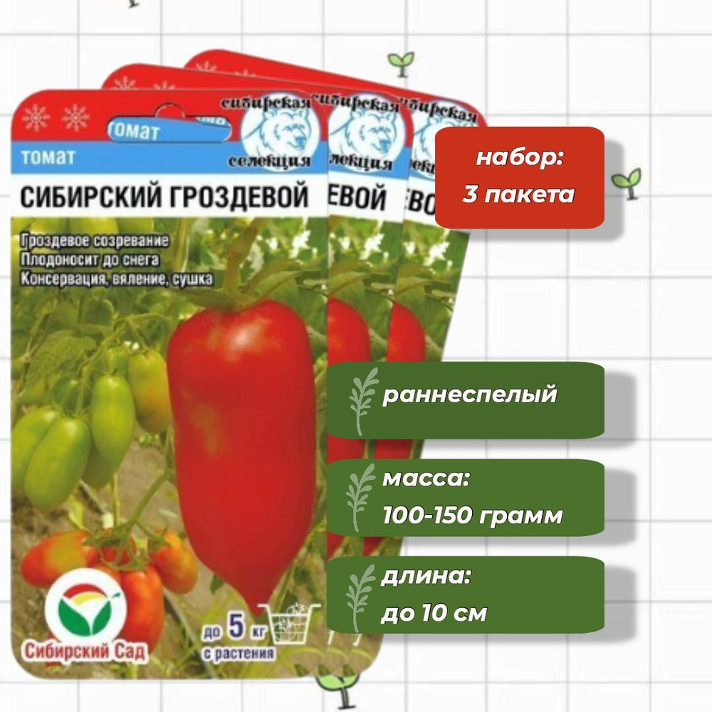 Томат Сибирский гроздевой Сибирский Сад 20 шт. - 3 упаковки  #1