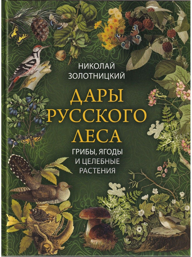 Дары русского леса. Грибы, ягоды и целительные растения | Золотницкий Николай Федорович  #1