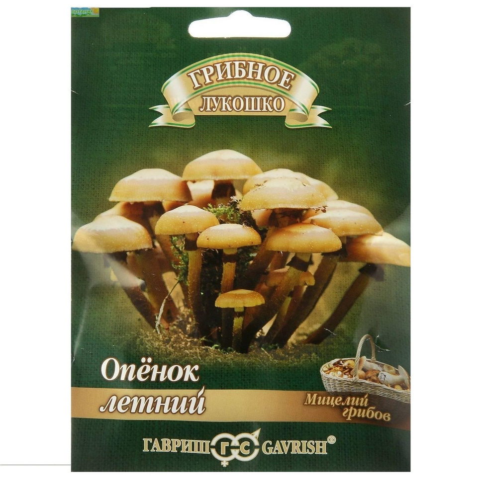 Мицелий грибов Опенок летний на древесной палочке 12шт #1