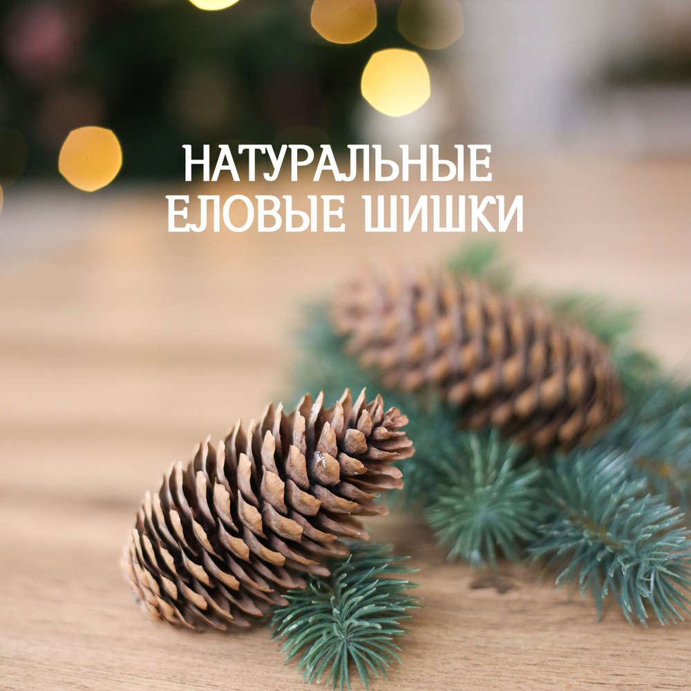 Houdini's Guide To Skorost