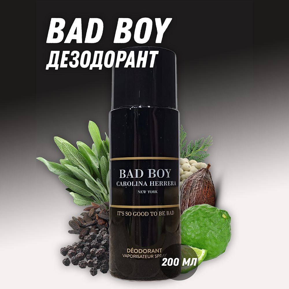 Парфюмированный дезодорант Bad Boy / Бэд Бой 200 мл #1