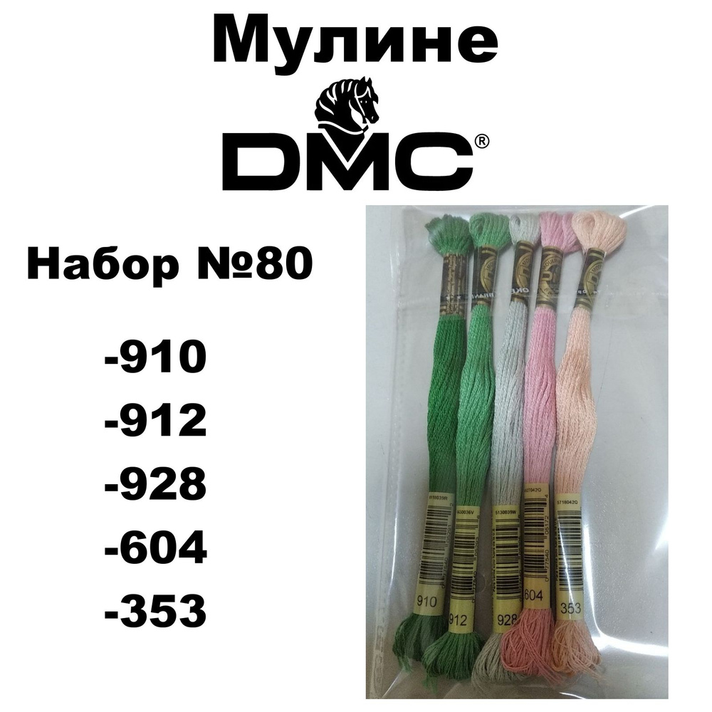 Нитки мулине DMC Embroidery для вышивания / Набор №80 / цвета 910, 912, 928, 604, 353  #1