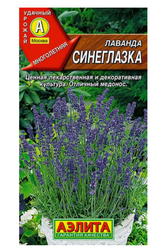 Лаванда СИНЕГЛАЗКА Аэлита многолетняя, пряно-ароматическая, лекарственная культура, для украшения сада #1