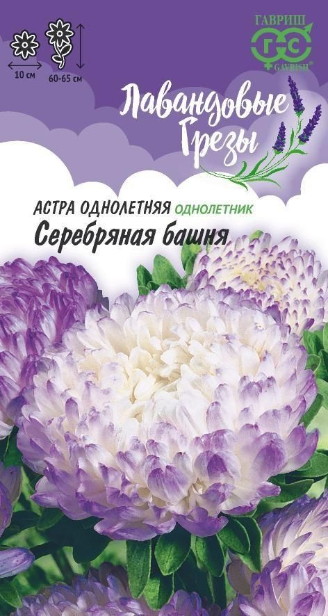 Астра Серебряная башня 0,3 г пионовидная, лиловая сер. Лавандовые грезы (Гавриш)  #1