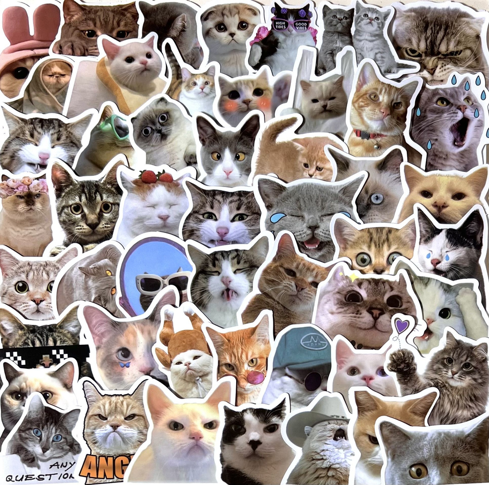 Стикеры Котики мемы/ набор наклеек мемные коты #1