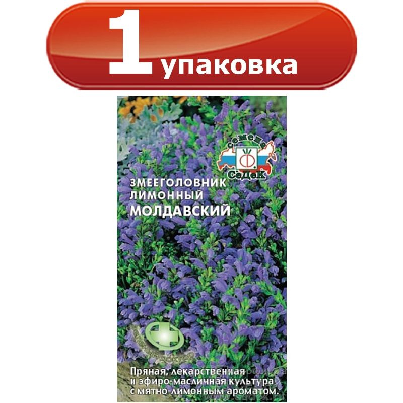 Змееголовник Молдавский лимонный 0,5г цветной пакет Седек  #1