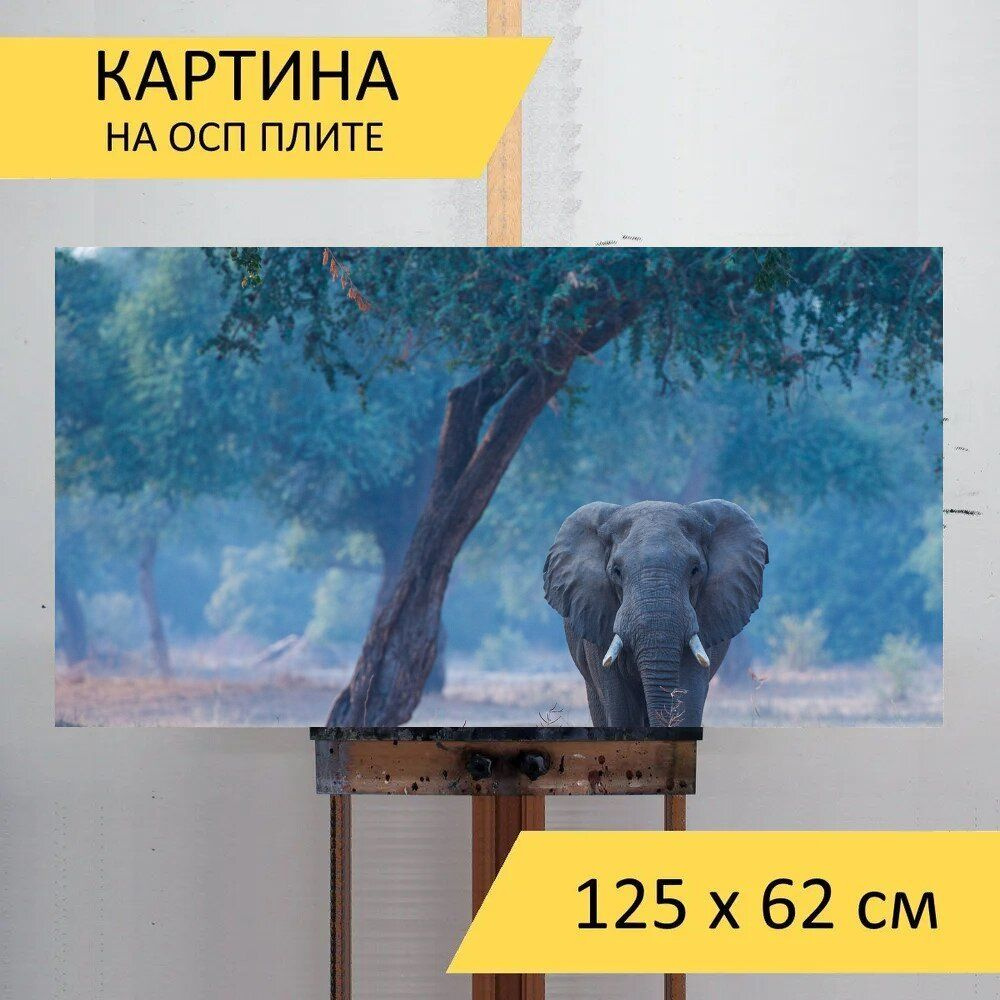 LotsPrints Картина "Слон, африка, животное 97", 125  х 62 см #1