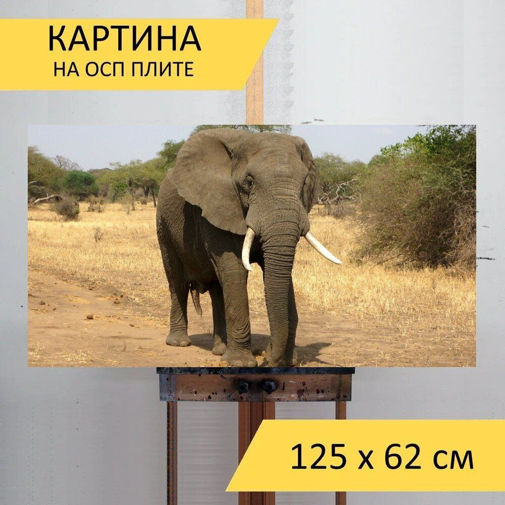 LotsPrints Картина "Слон, животное, сафари 43", 125  х 62 см #1
