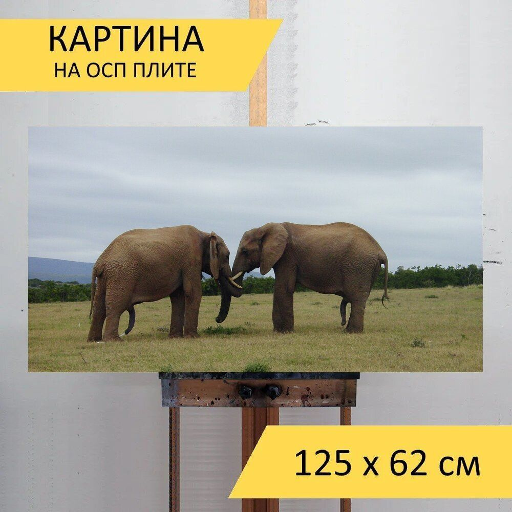 LotsPrints Картина "Слоны, дружба, толстокожий 85", 125  х 62 см #1