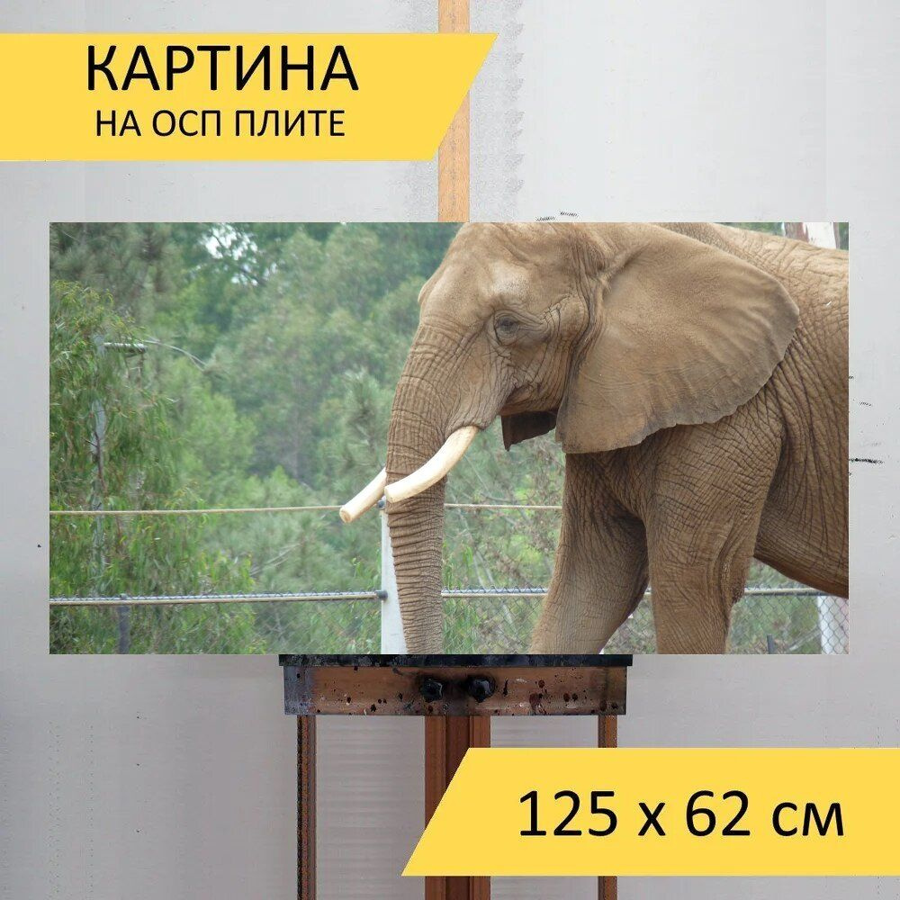 LotsPrints Картина "Слон, зоопарк, животное 28", 125  х 62 см #1