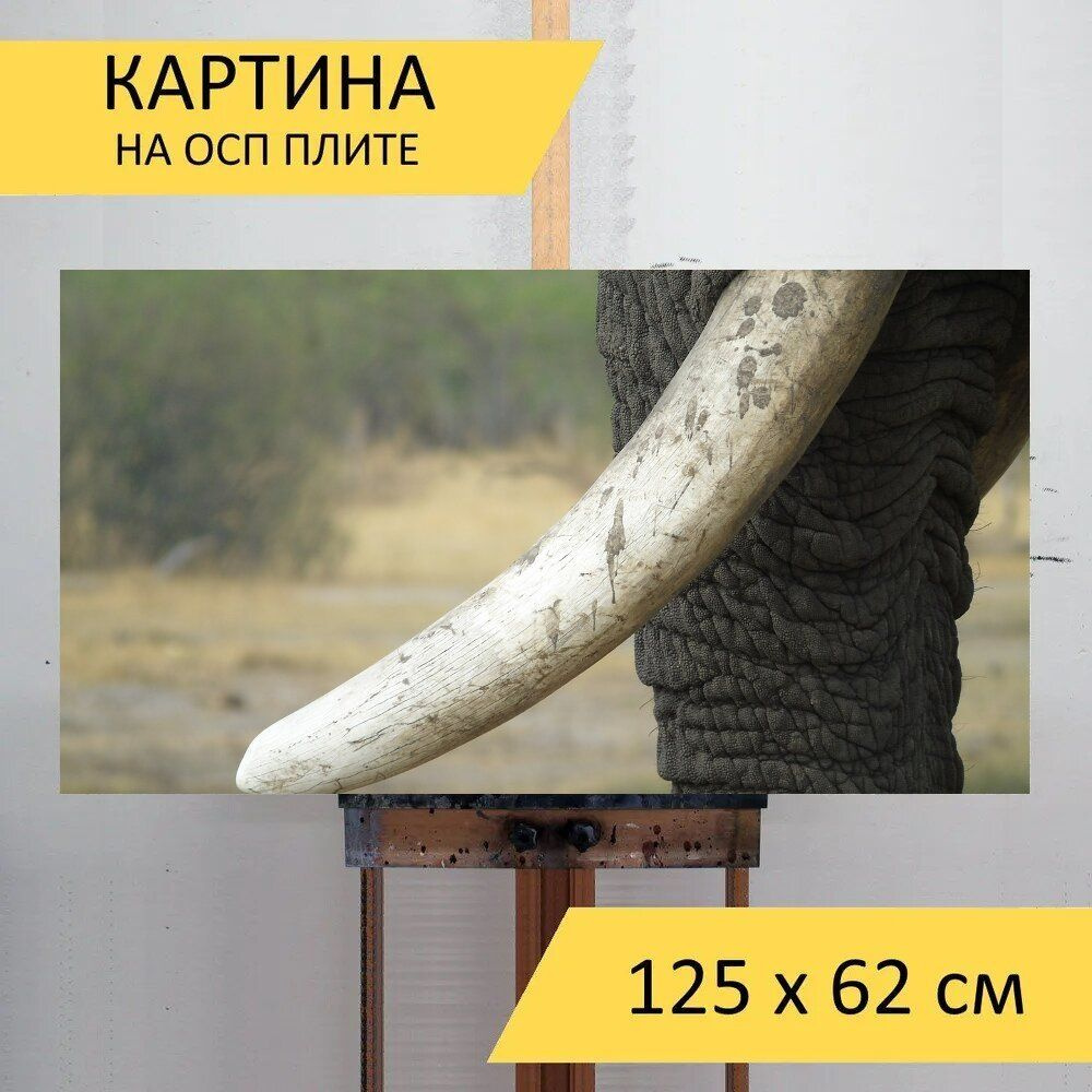 LotsPrints Картина "Слон, бивень, слоновая кость 06", 125  х 62 см #1