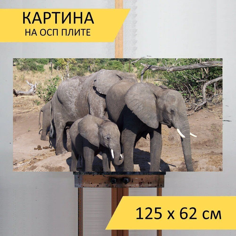 LotsPrints Картина "Слон, детка, дикая природа 78", 125  х 62 см #1