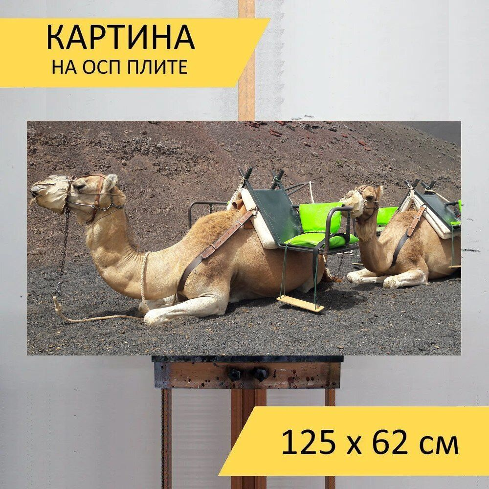 LotsPrints Картина "Верблюд, верблюд канарейка 17", 125  х 62 см #1