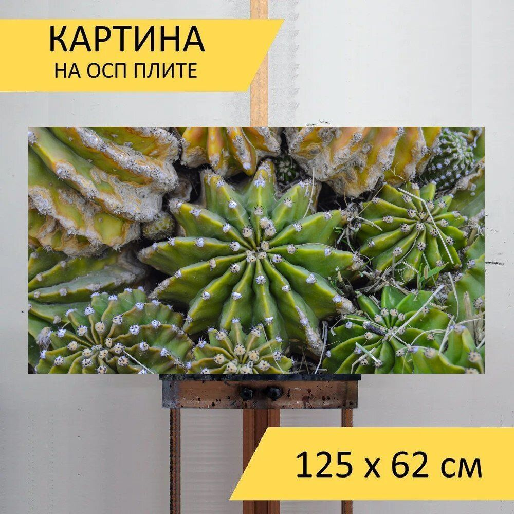 LotsPrints Картина "Кактус, пустынное растение, шипы 13", 125 х 62 см  #1