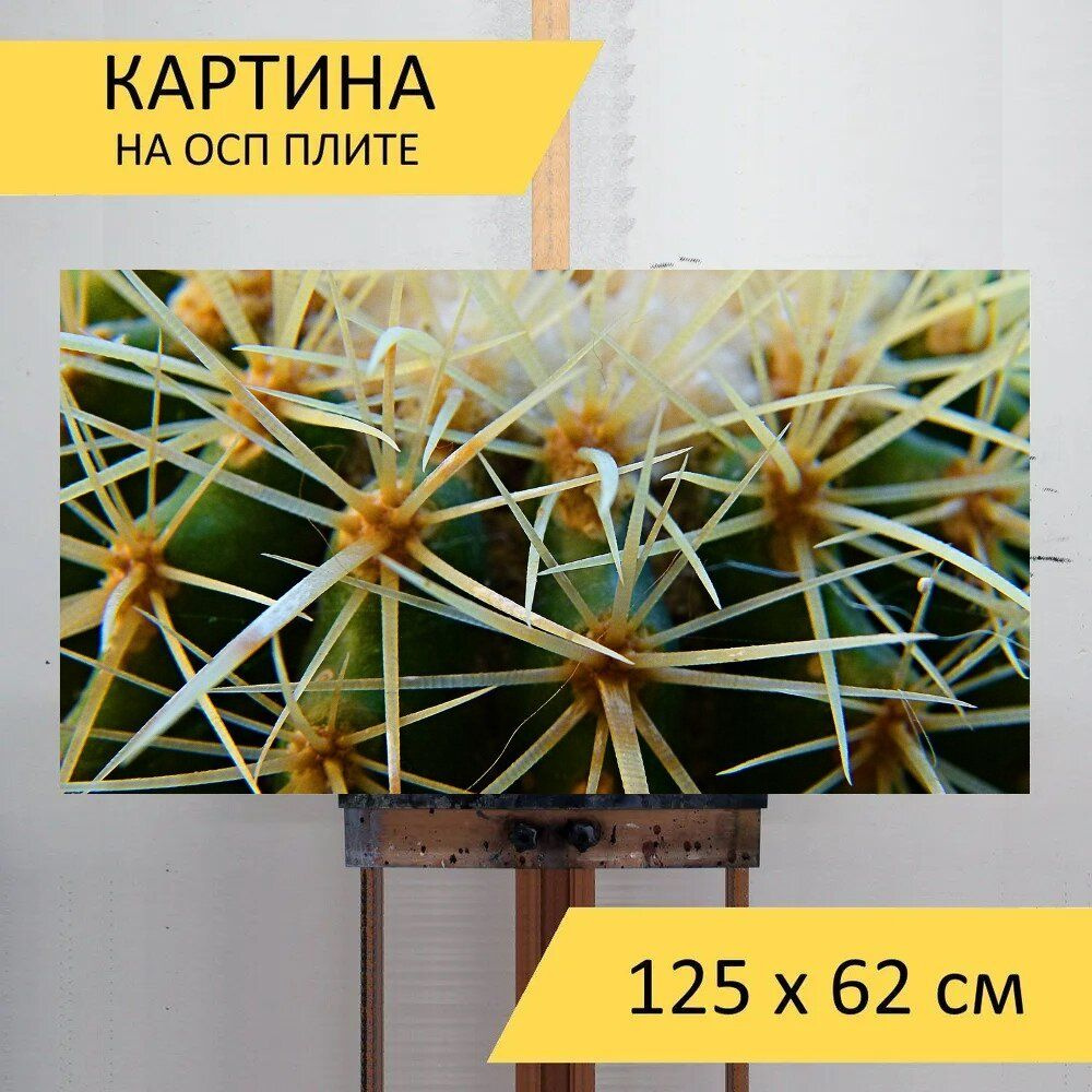 LotsPrints Картина "Кактус, завод, шипы 18", 125  х 62 см #1