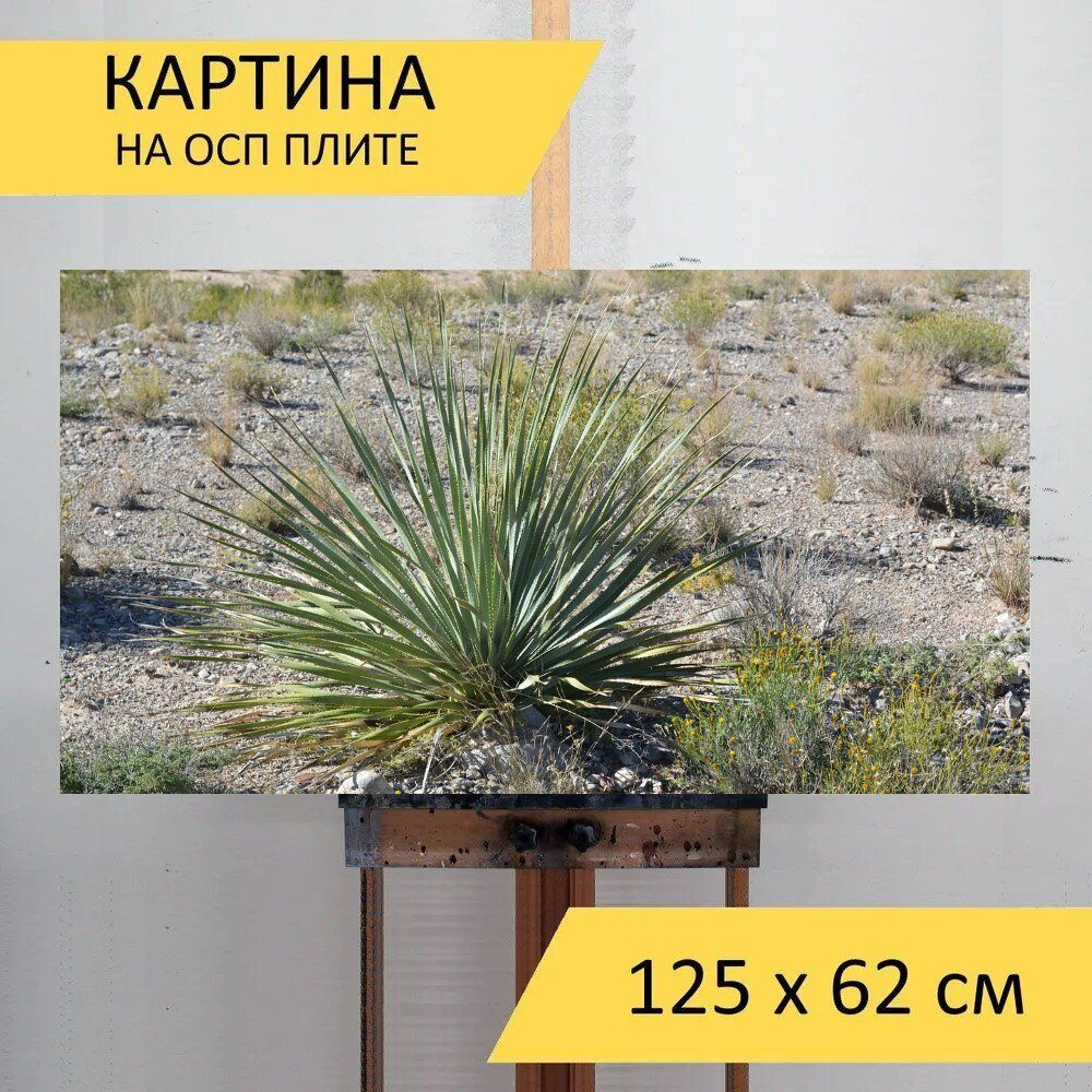 LotsPrints Картина "Кактус, растение юкка, пустыня 21", 125 х 62 см  #1