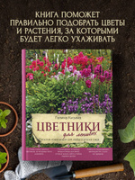 Малоуходный сад для ленивых: как сделать, что посадить