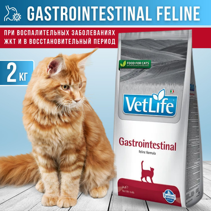 Farmina gastrointestinal для кошек