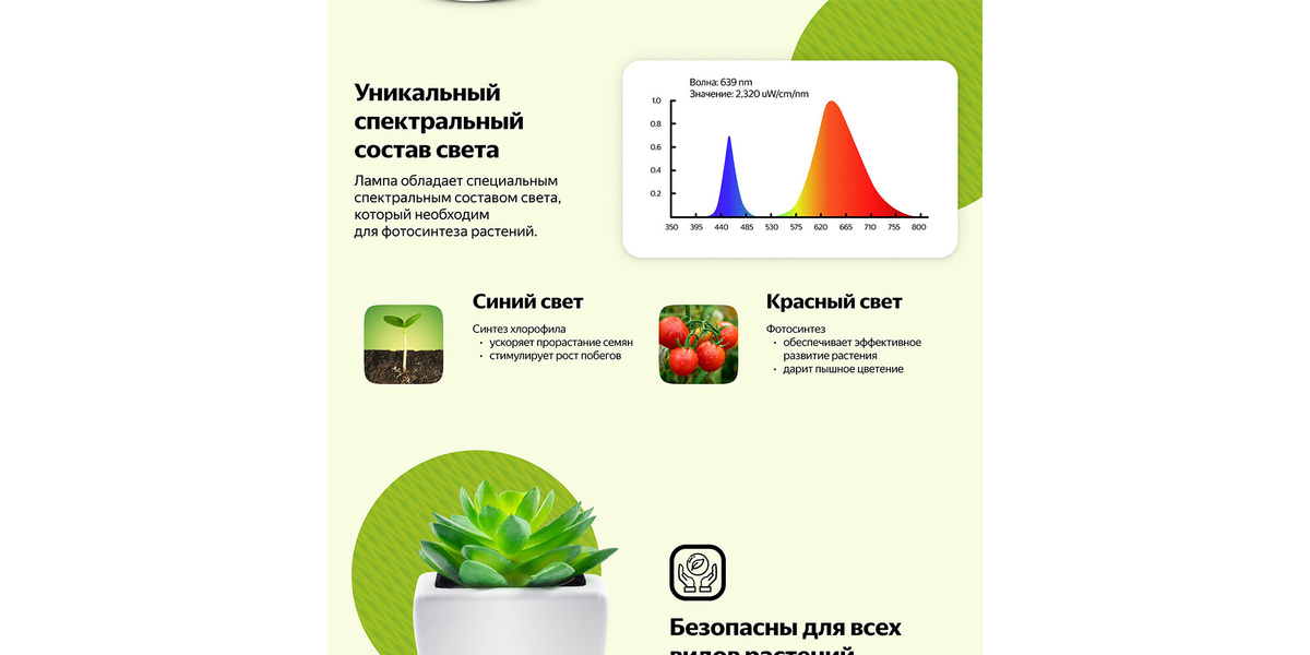 Уникальный свет фитолампы воздействует на фотосинтез растений