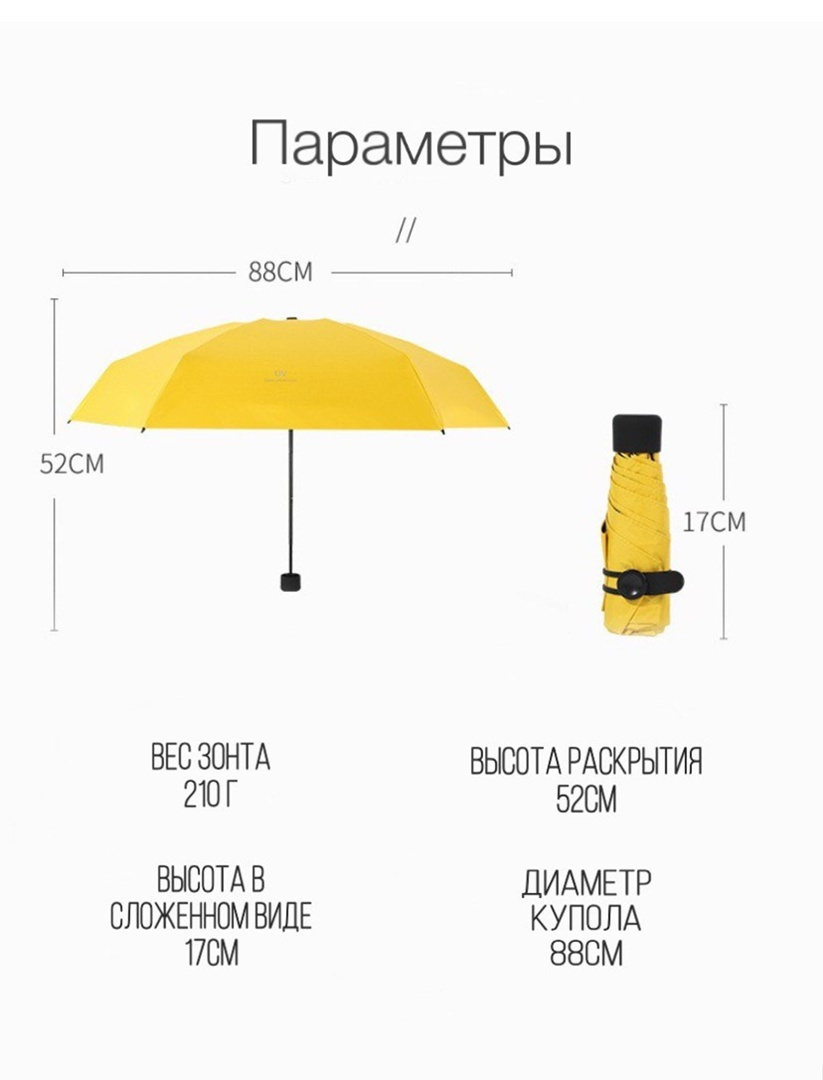 Текстовое описание изображения