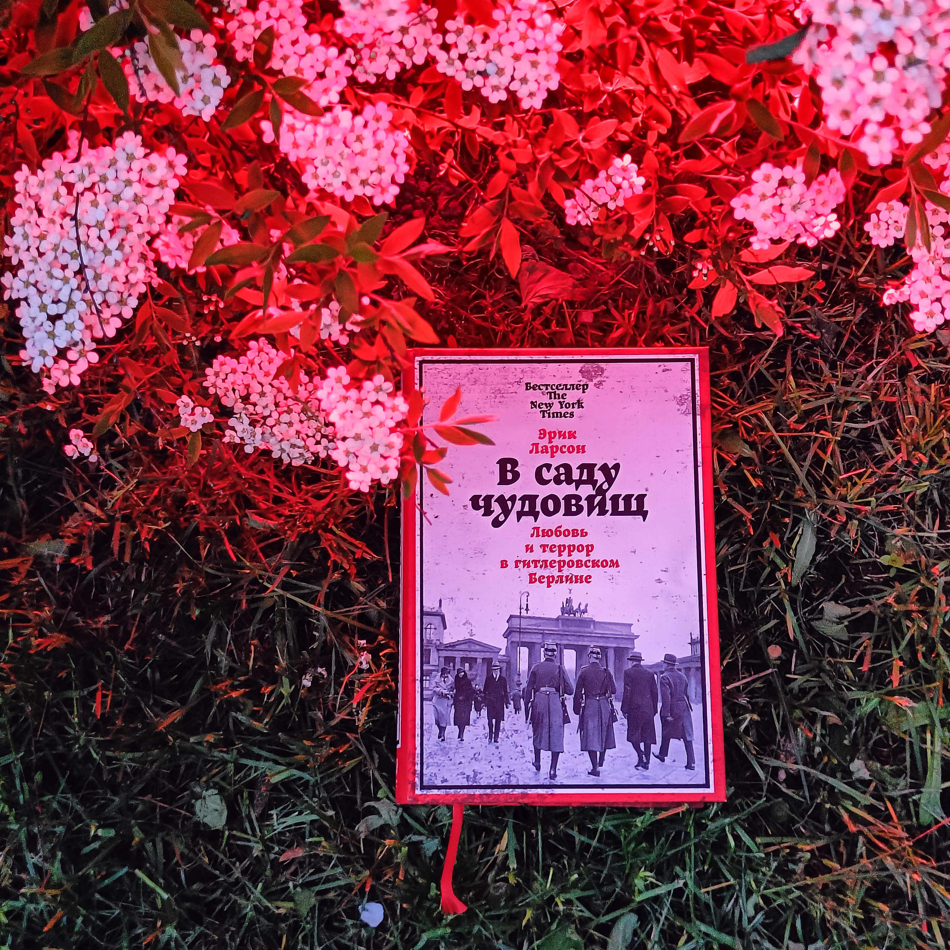 В саду чудовищ: Любовь и террор в гитлеровском Берлине | In the Garden of Beasts: Love and Terror in Nazi Berlin - Ozon image 5