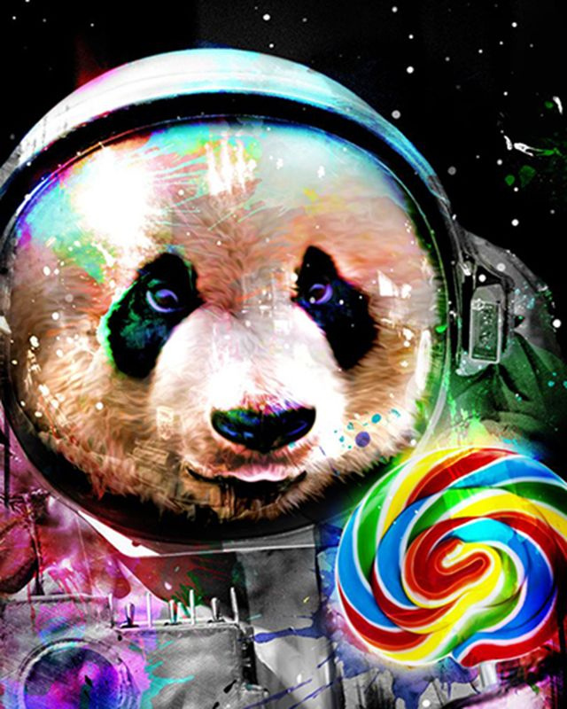 Картина по Номерам на Холсте 40х50 см БЕЗ ПОДРАМНИКА Colibri Панда в Космосе Животные для Детей и Взрослых #1