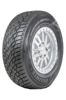 Delinte Winter WD42 Шины  зимние 245/45  R20 103H Шипованные #1