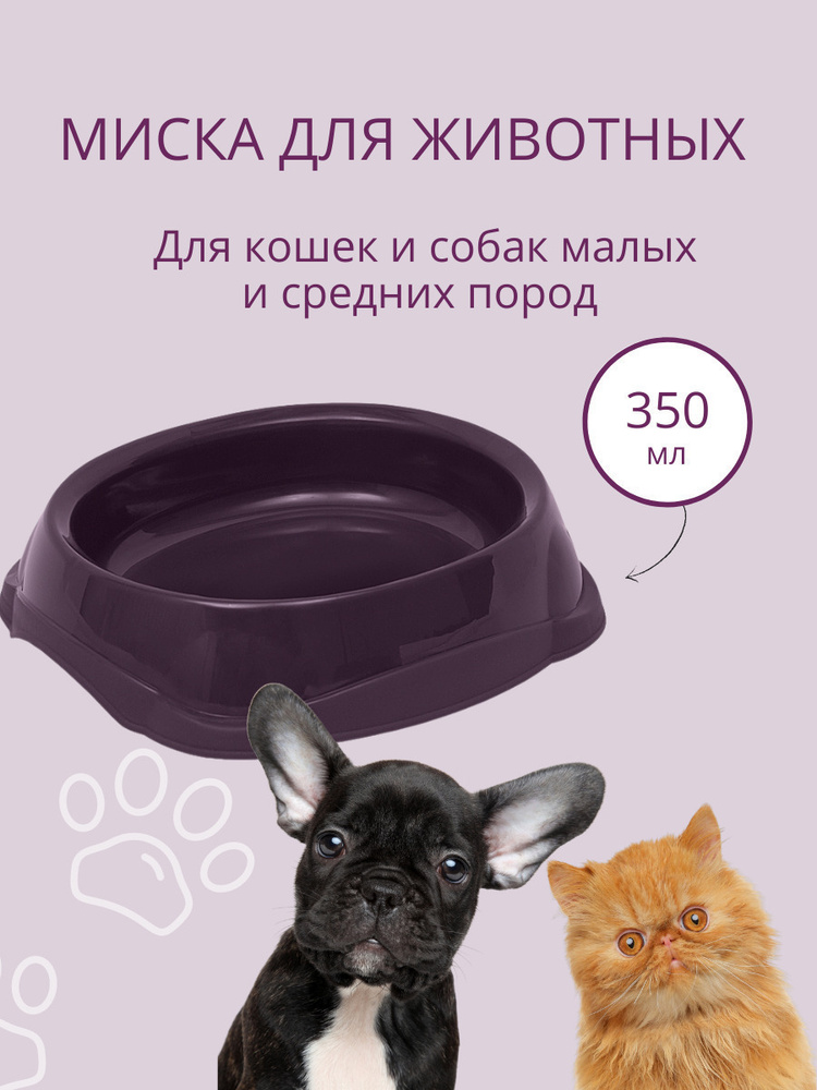 Миска для кошек, для собак DD Style / Пластиковая миска для воды и корма, лиловый, 350 мл  #1
