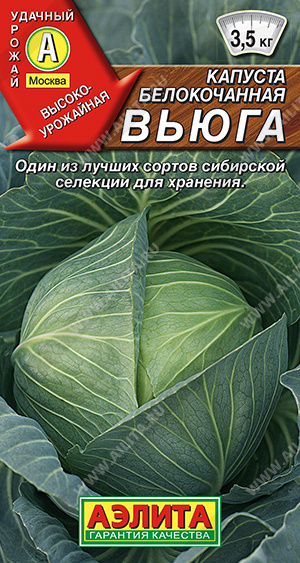 Капуста белокочанная Вьюга, сибирской селекции, хранение до 8 мес  #1