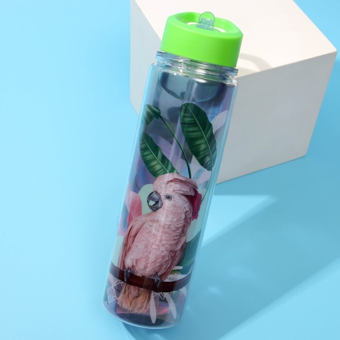 Бутылка для воды Попугай, 550 мл 1 шт. #1