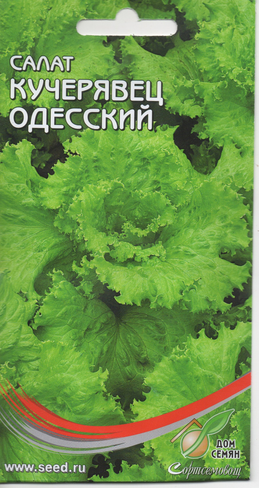 Салат Одесский Кучерявец, 420шт., Дом Семян С-П #1