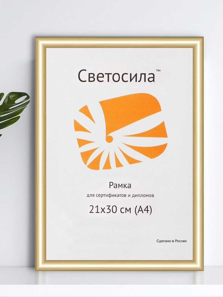 Фоторамка Светосила 21x30 (А4), цвет золото, для диплома, сертификата, фото, 111-A4  #1