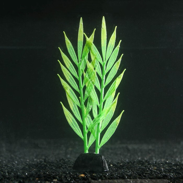 Растение силиконовое аквариумное, светящееся в темноте, 6,5 х 18 см, зелёное  #1