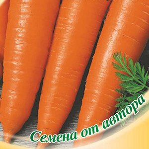 Семена Морковь Любимая мамочка #1