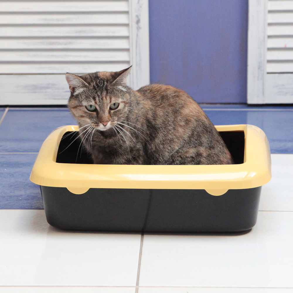 Лоток для кошек Шурум-Бурум туалет большой с съемным бортом под наполнитель  #1