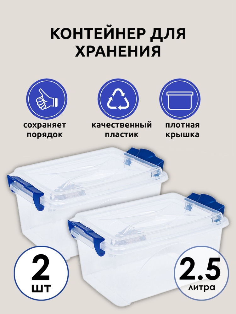 Контейнер DD Style Стар прозрачный с синими ручками 2.5 л, контейнер для хранения, контейнер для еды #1