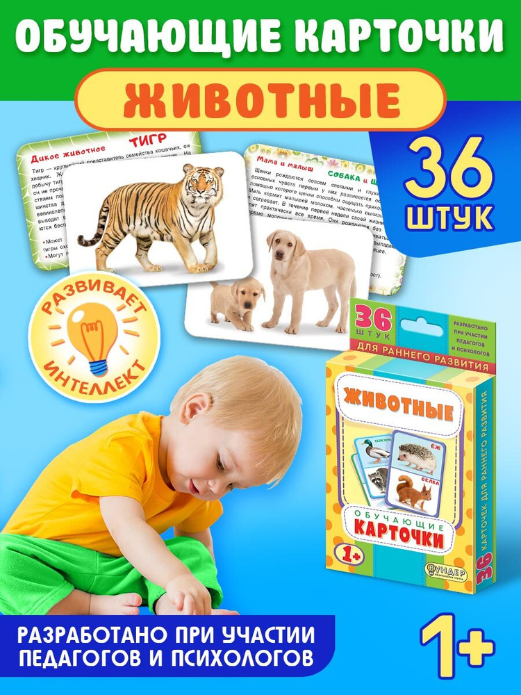 Карточки развивающие обучающие логопедические для малышей 1-3 лет Изучаем Животные  #1