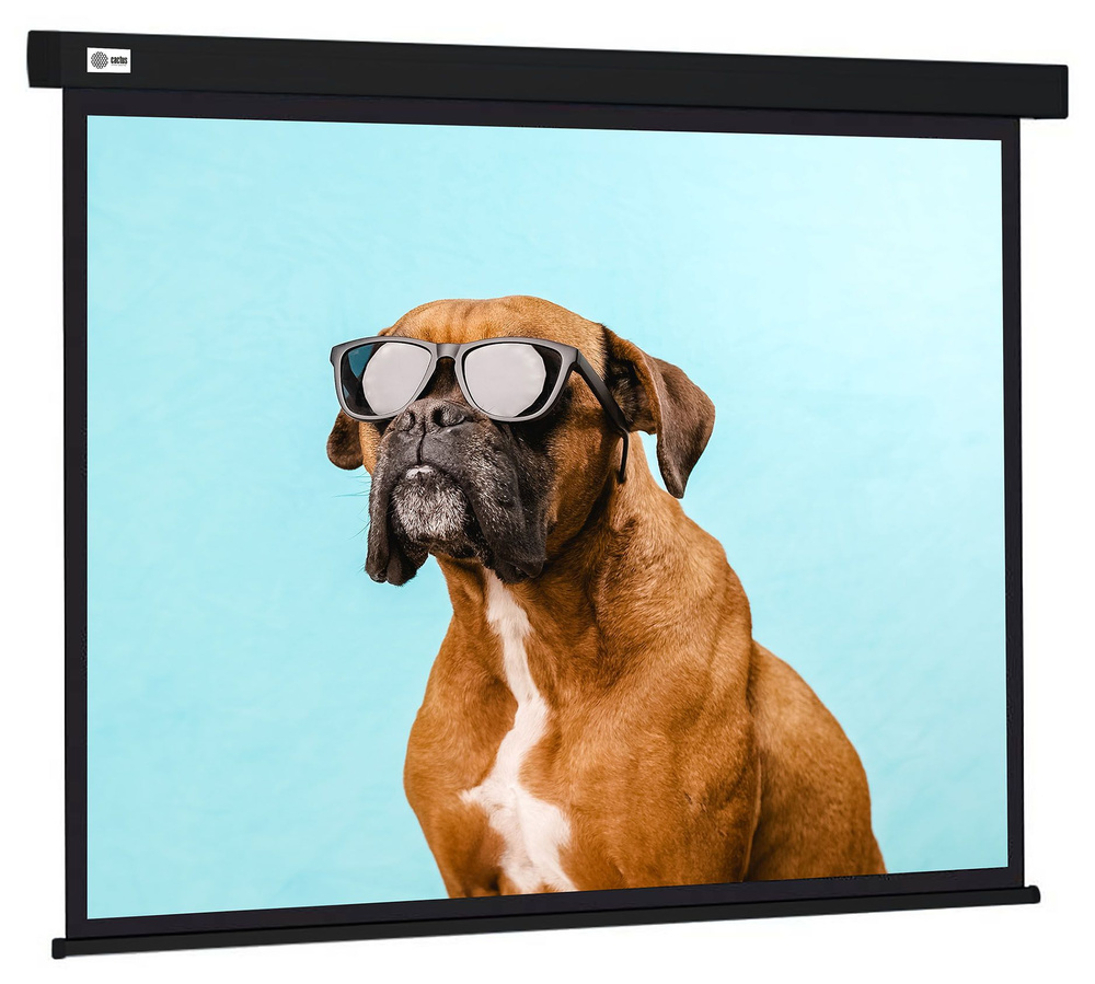 Экран Cactus 180x180см Wallscreen CS-PSW-180X180-SG 1:1 настенно-потолочный рулонный серый  #1