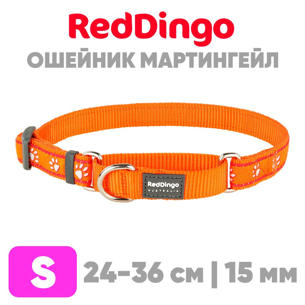 Ошейник мартингейл (полуудавка) для мелких и средних пород собак Red Dingo оранжевый  #1