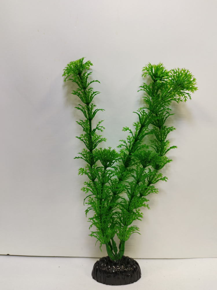 Растение пластиковое Амбулия 30 см #1