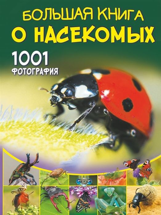 Большая книга о насекомых: 1001 фотография | Спектор Анна Артуровна  #1