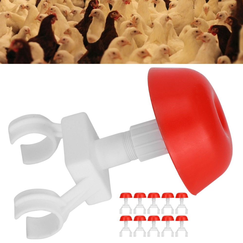 Поилка для кур - купить с доставкой по выгодным ценам в интернет ...