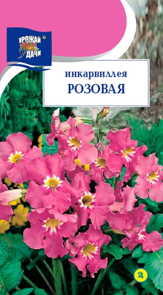 Семена Инкарвиллея (Садовая Глоксиния) РОЗОВАЯ (Семена УРОЖАЙ УДАЧИ, 0,05г в упаковке)  #1