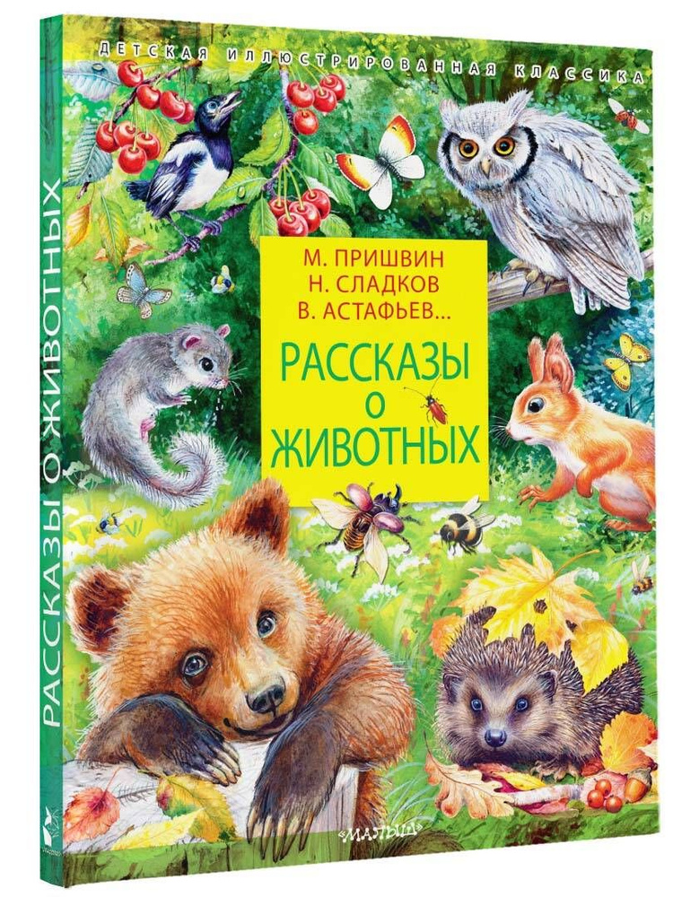 Рассказы о животных | Сладков Николай Иванович #1