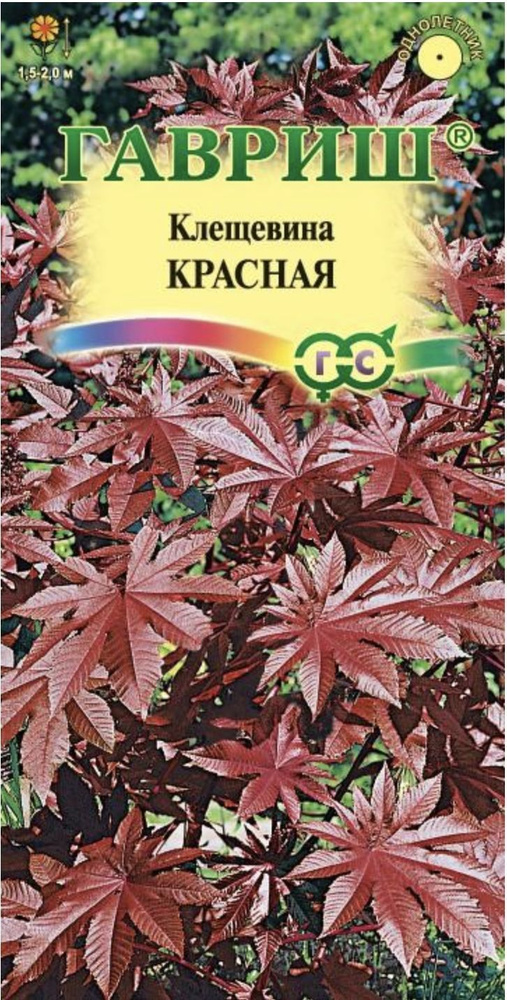 Клещевина обыкновенная Красная, 1 пакет, семена 5шт, Гавриш  #1