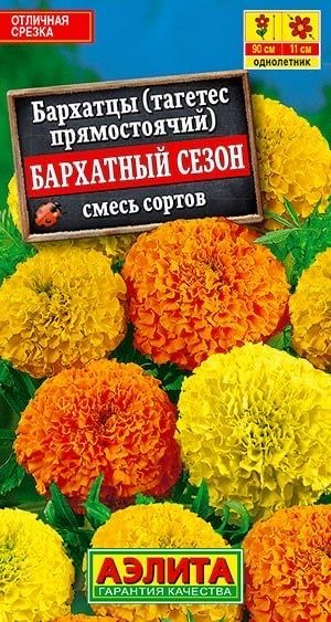 БАРХАТЦЫ БАРХАТНЫЙ СЕЗОН. Семена. Вес 0,5 гр. Высокорослые с очень крупными, махровыми соцветиями.  #1